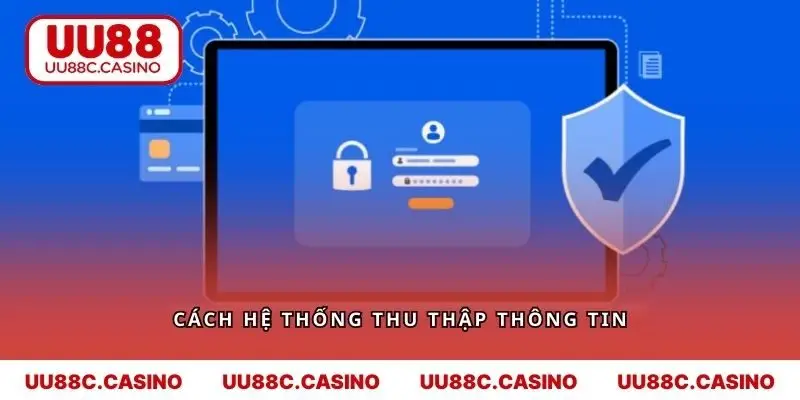 Cách hệ thống thu thập thông tin của người tham gia theo quy định